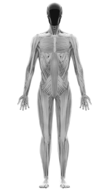 Clone Alpha humanoid robot — official Clone Robotics image 8
