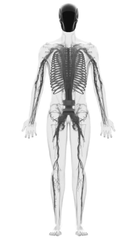 Clone Alpha humanoid robot — official Clone Robotics image 10