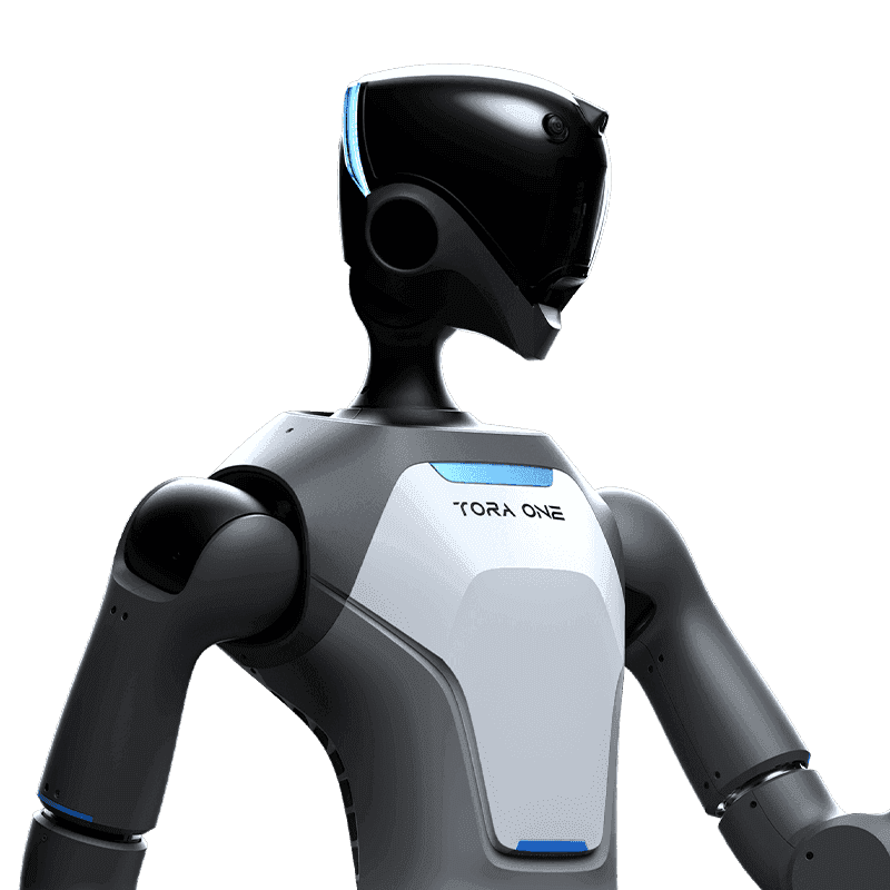 ToraOne