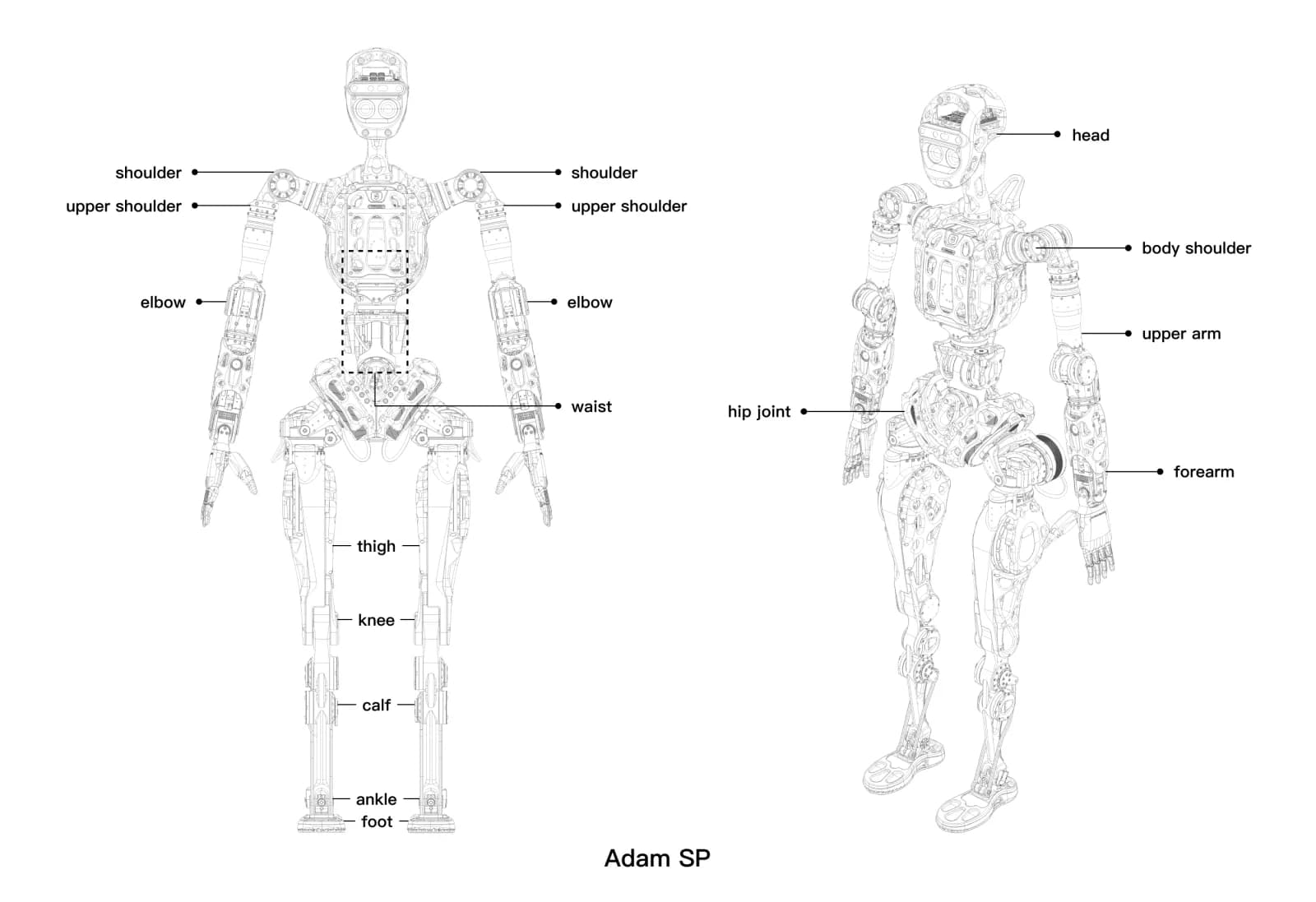 Adam SP full-size humanoid robot — official PNDbotics image