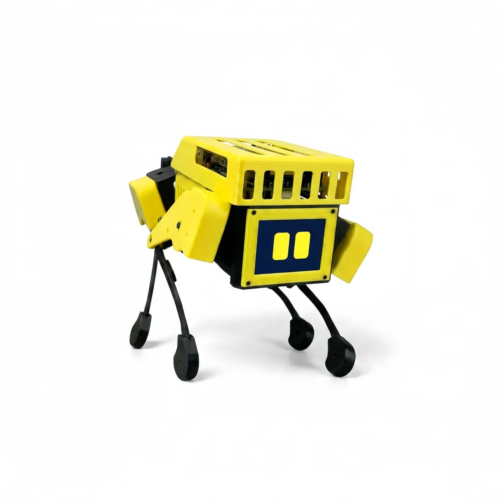Mini Pupper quadruped robot — official MangDang image