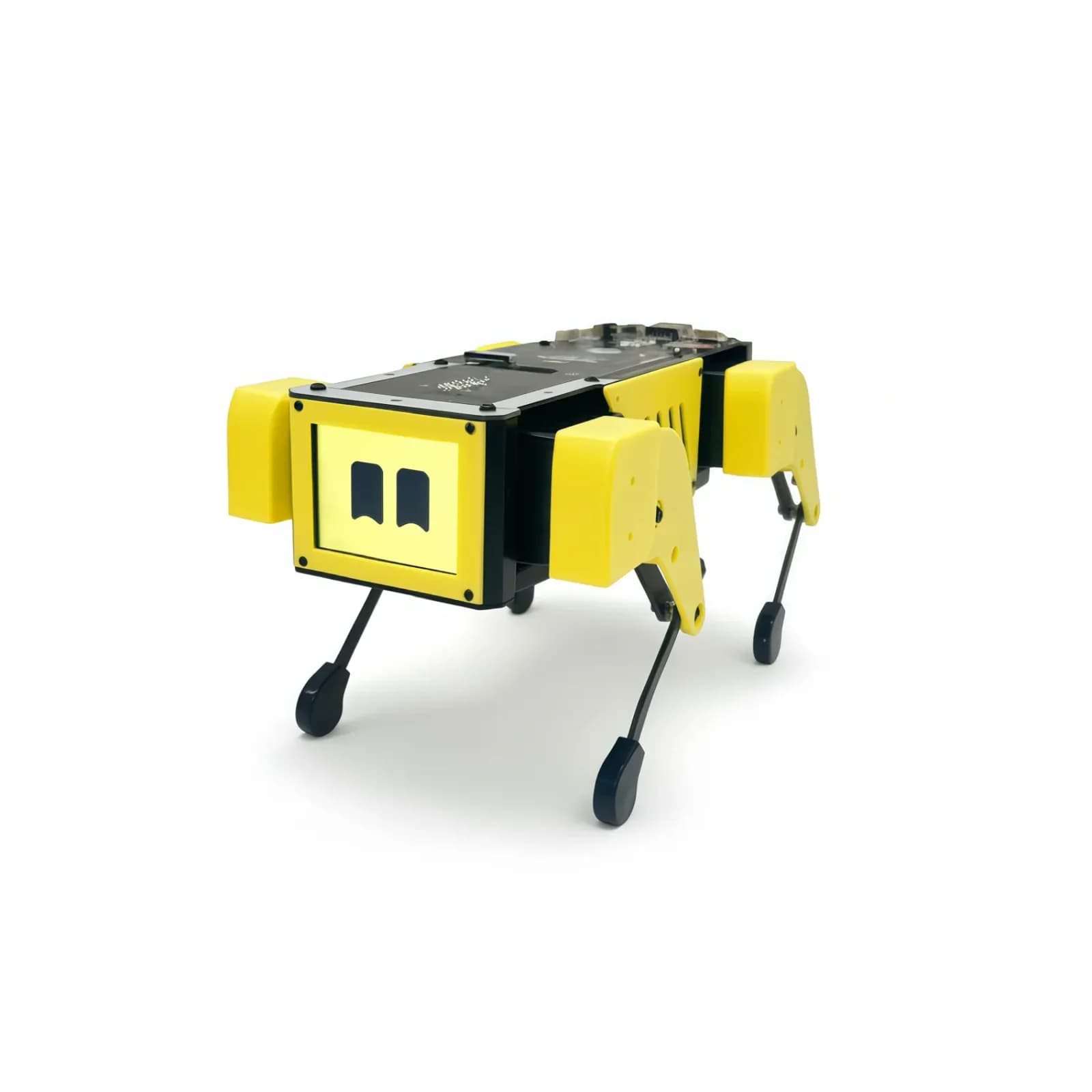 Mini Pupper 2 quadruped robot — official MangDang image