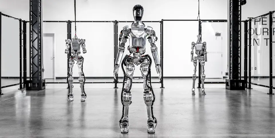 Challenges in Humanoid Robotics