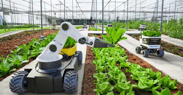 Humanoid Robots in Greenhouses